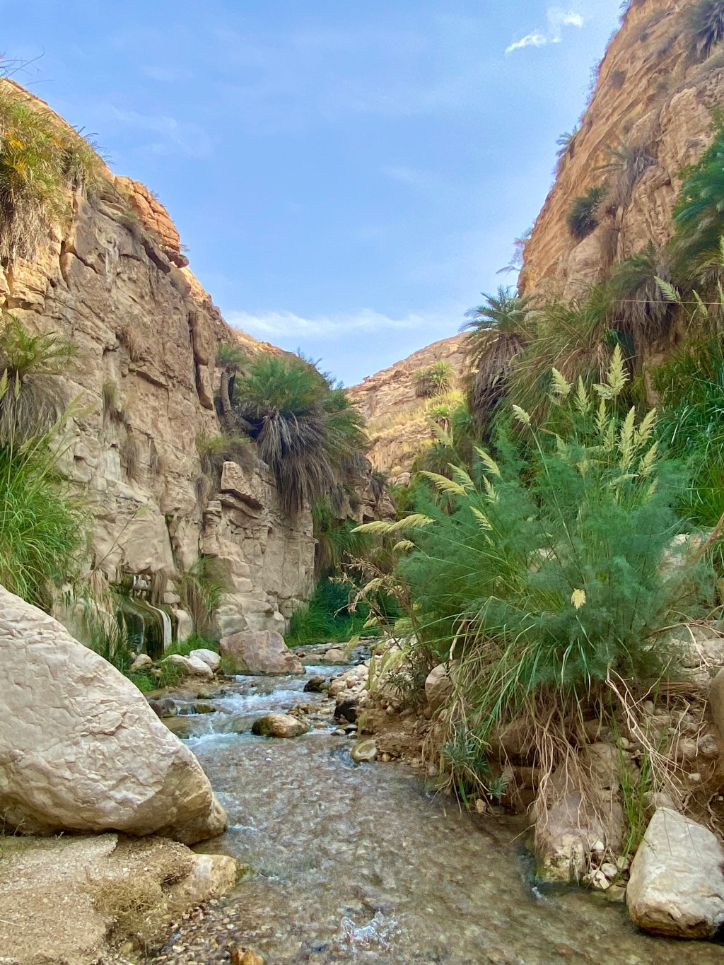 JORDANIE : Randonnées dans le Wadi Bin Hammad et la Vallée de&nbsp;Dana