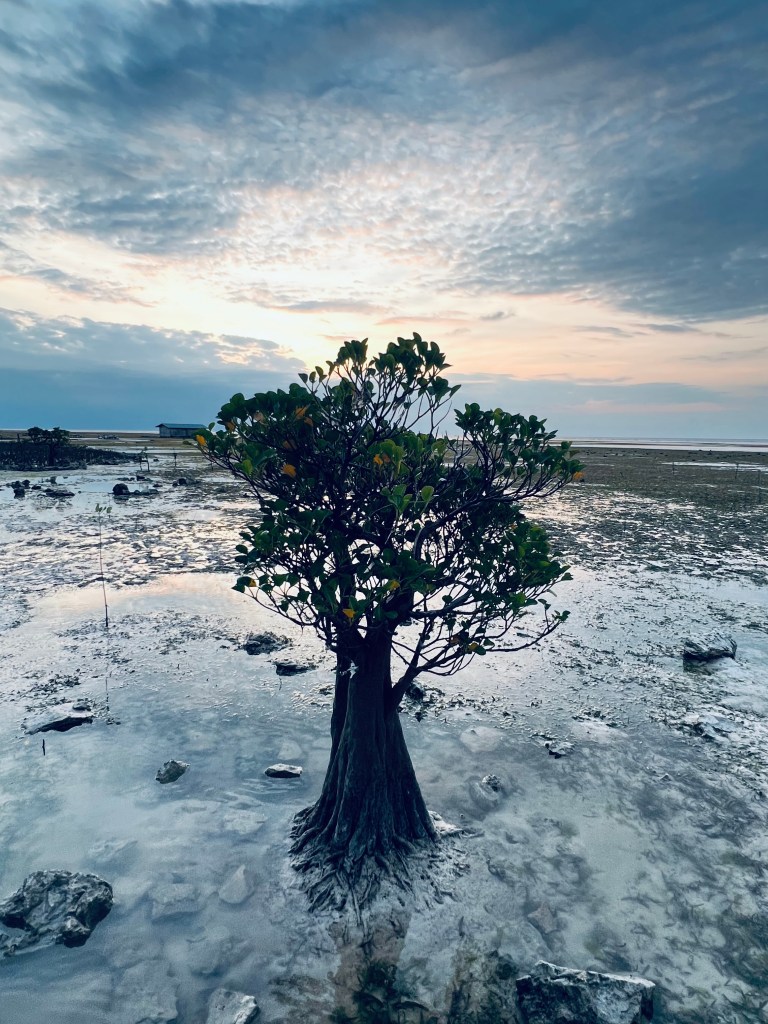 Sur la plage de Walakiri