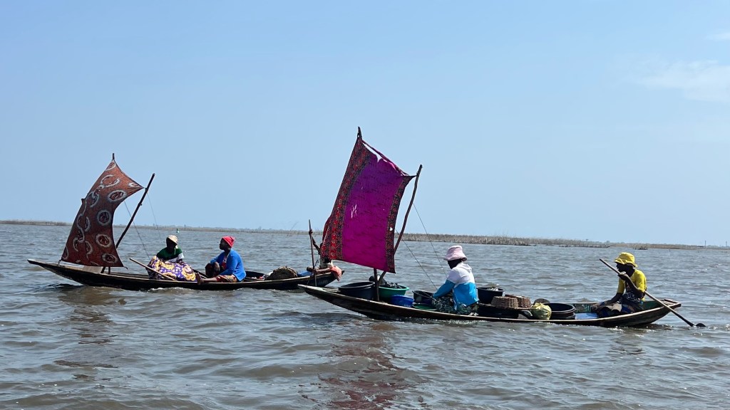 BÉNIN: Guide pour une visite d&rsquo;un jour depuis le&nbsp;Togo
