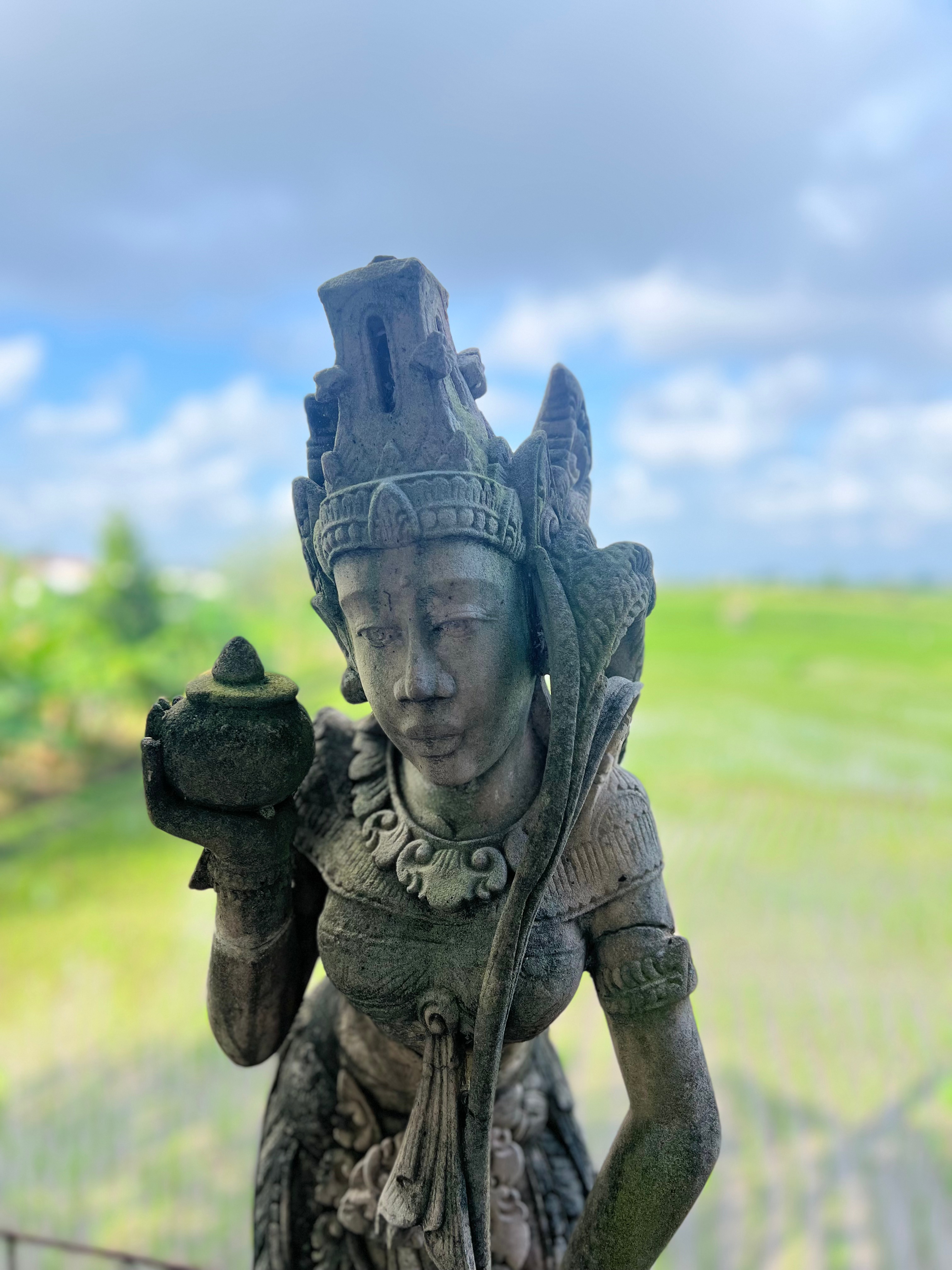 Rizières à Bali